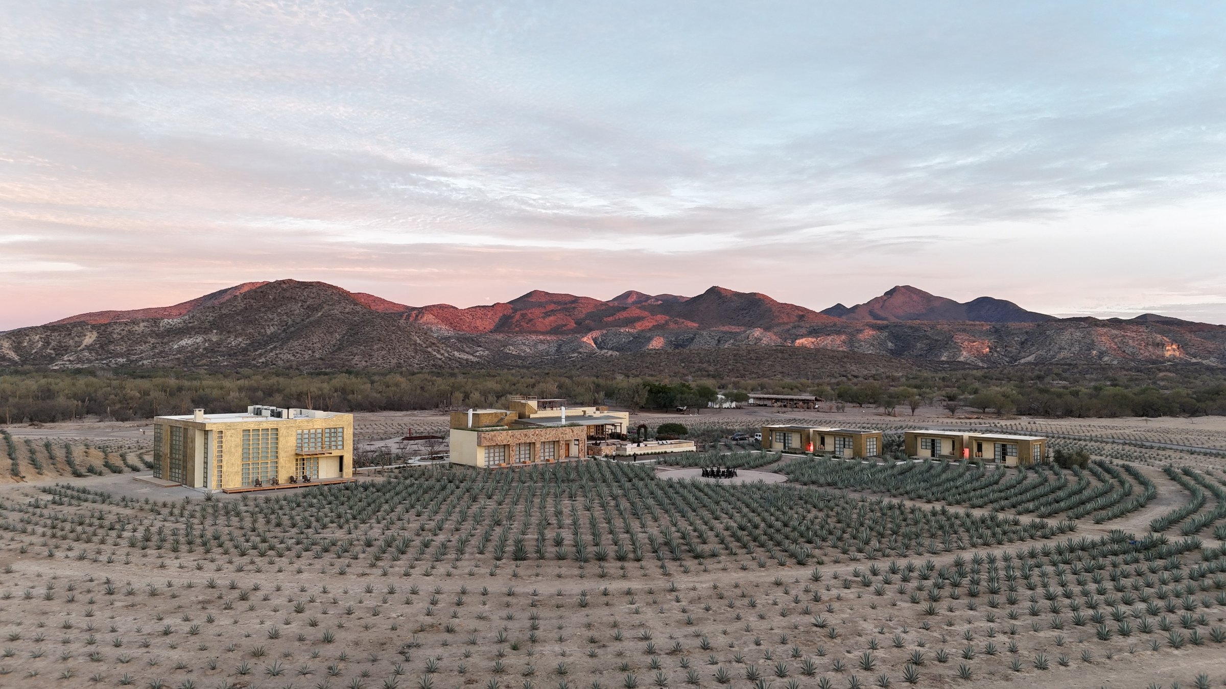 El conjunto sobre el plantío de agave, con la sierra al fondo